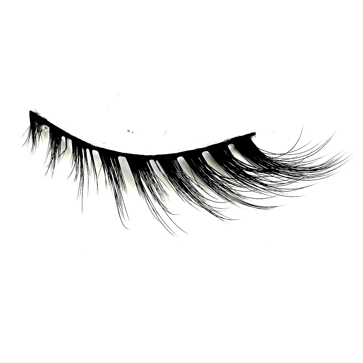 Various Style Eyelashes